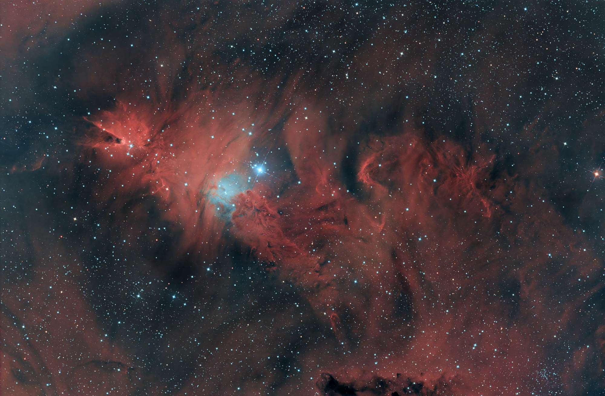 Der bläuliche offene Sternhaufen NGC 2264 liegt im Sternbild Einhorn und ist ein sehr junges Sternentstehungsgebiet. Der kegelförmige Dunkelnebel links hat eine Ausdehnung von etwa sieben Lichtjahren.